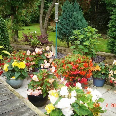 The Willows Bed & Breakfast