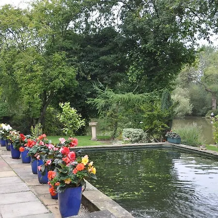 The Willows York