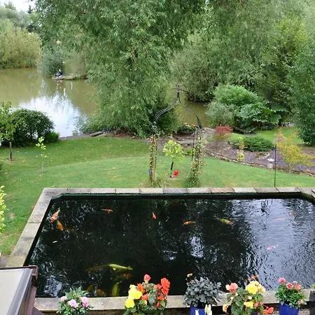 The Willows York