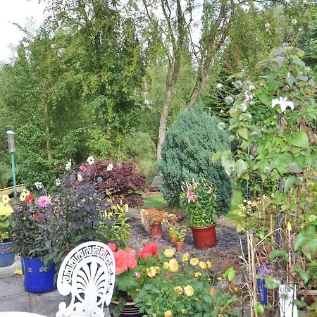 Bed & Breakfast The Willows 4*