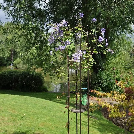 Bed & Breakfast The Willows York