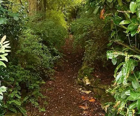 The Willows