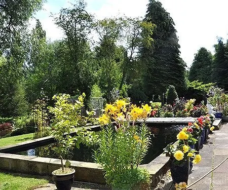 Bed & Breakfast The Willows