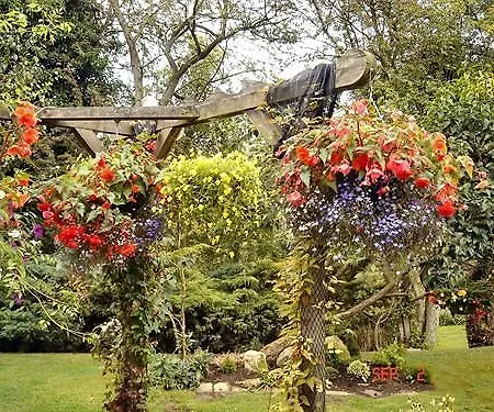 Bed & Breakfast The Willows 4*