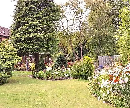 Bed & Breakfast The Willows York